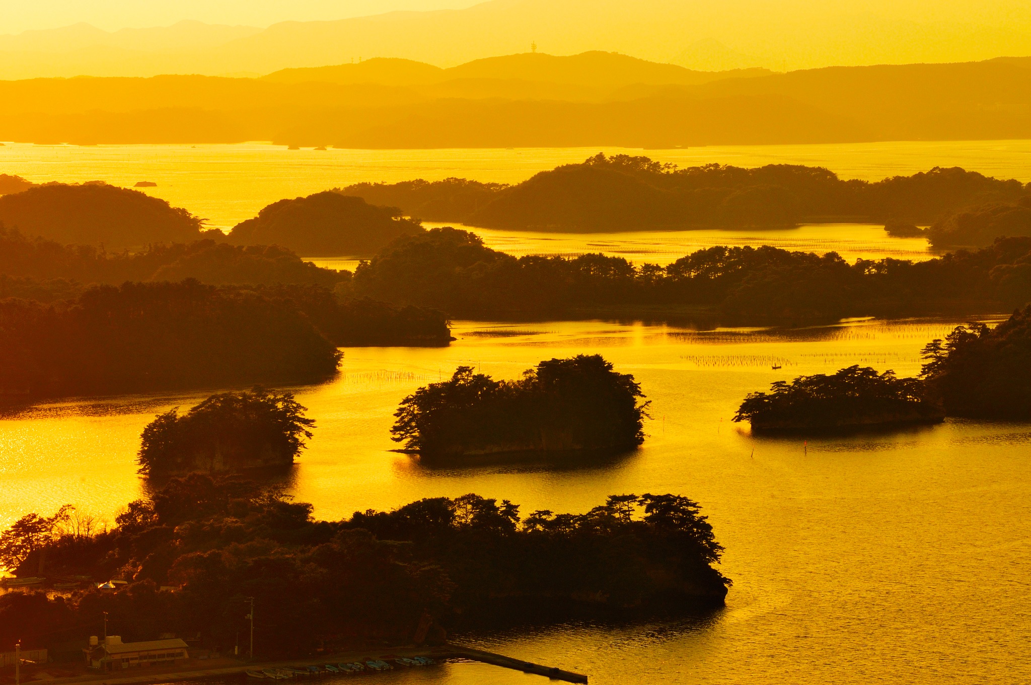 令和8年元旦のご挨拶